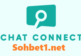 Connect, Chat, Discover!