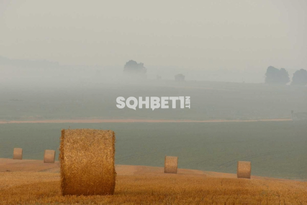 Sohbet Etmenin En Hızlı ve Eğlenceli Yolu